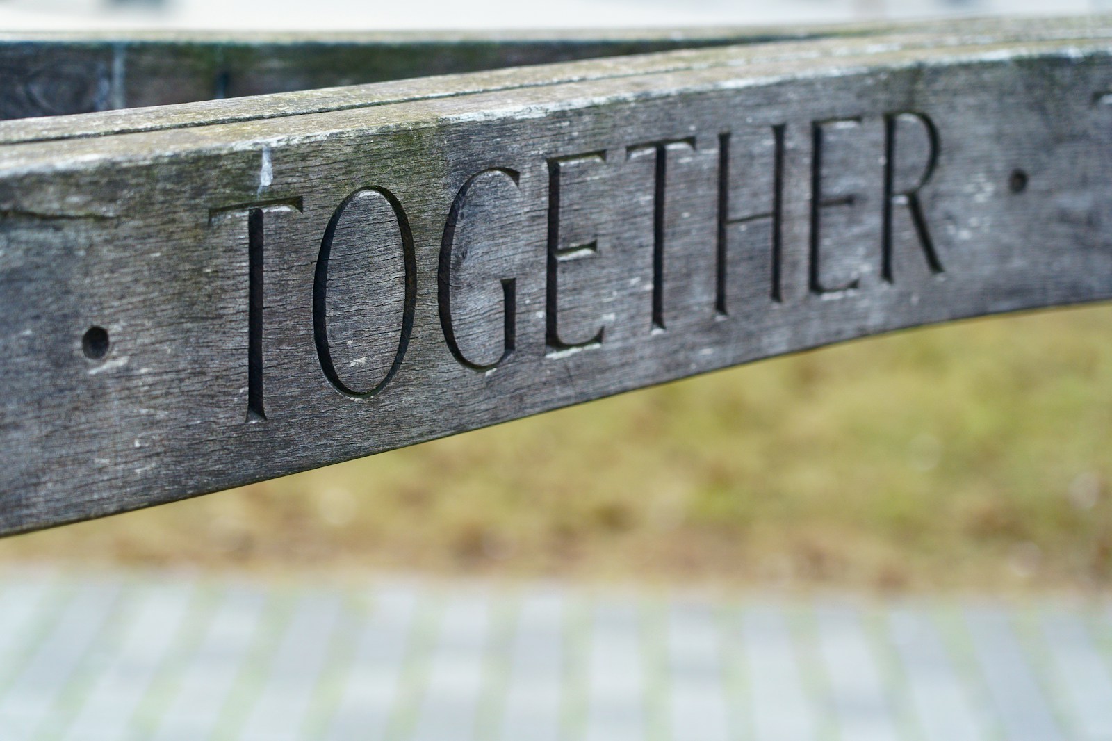 wooden sign saying together to foster team co-creation