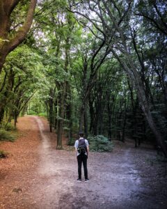 decision making choicepoint of man standing in the middle of woods at the fork of two paths